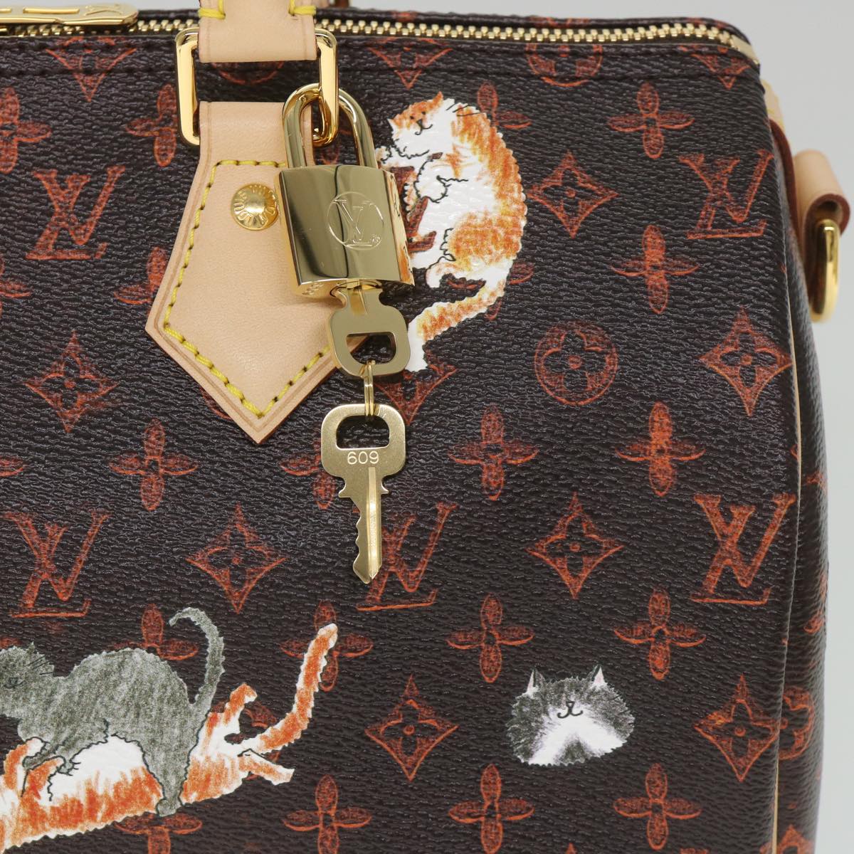 LOUIS VUITTON Catgram Speedy Bandouliere 30 Hand Bag Brown M44401 LV Auth 56154SM
