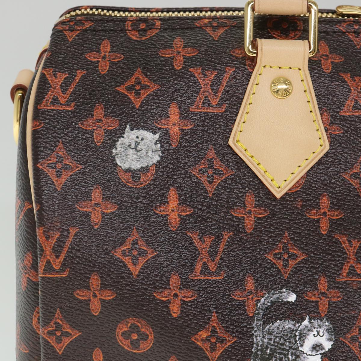LOUIS VUITTON Catgram Speedy Bandouliere 30 Hand Bag Brown M44401 LV Auth 56154SM