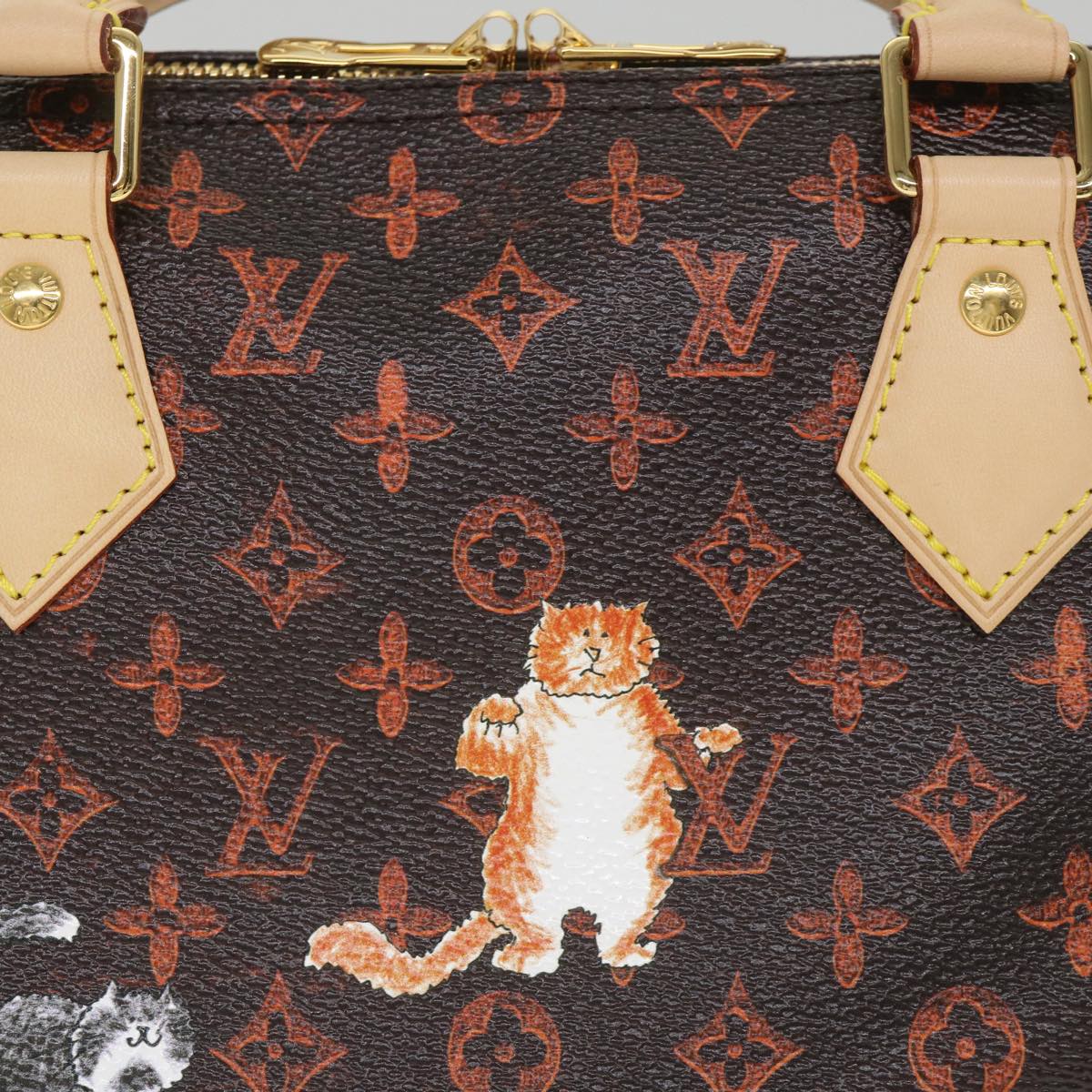 LOUIS VUITTON Catgram Speedy Bandouliere 30 Hand Bag Brown M44401 LV Auth 56154SM