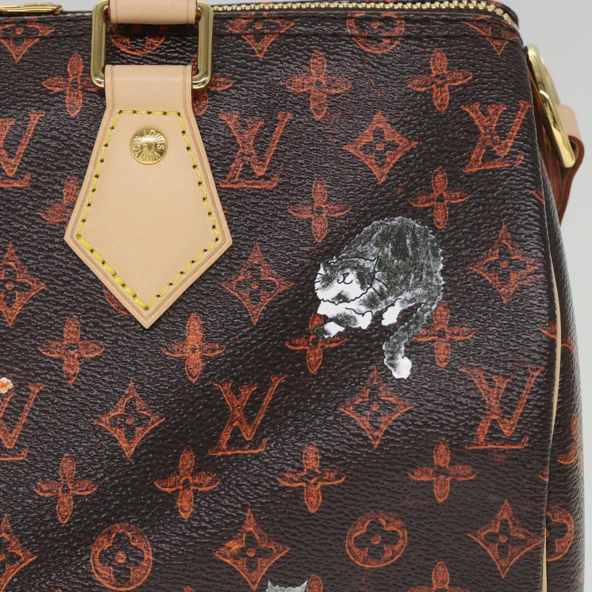 LOUIS VUITTON Catgram Speedy Bandouliere 30 Hand Bag Brown M44401 LV Auth 56154SM