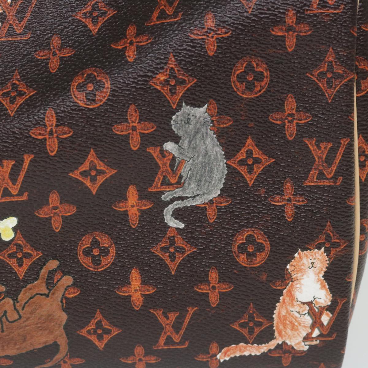 LOUIS VUITTON Catgram Speedy Bandouliere 30 Hand Bag Brown M44401 LV Auth 56154SM