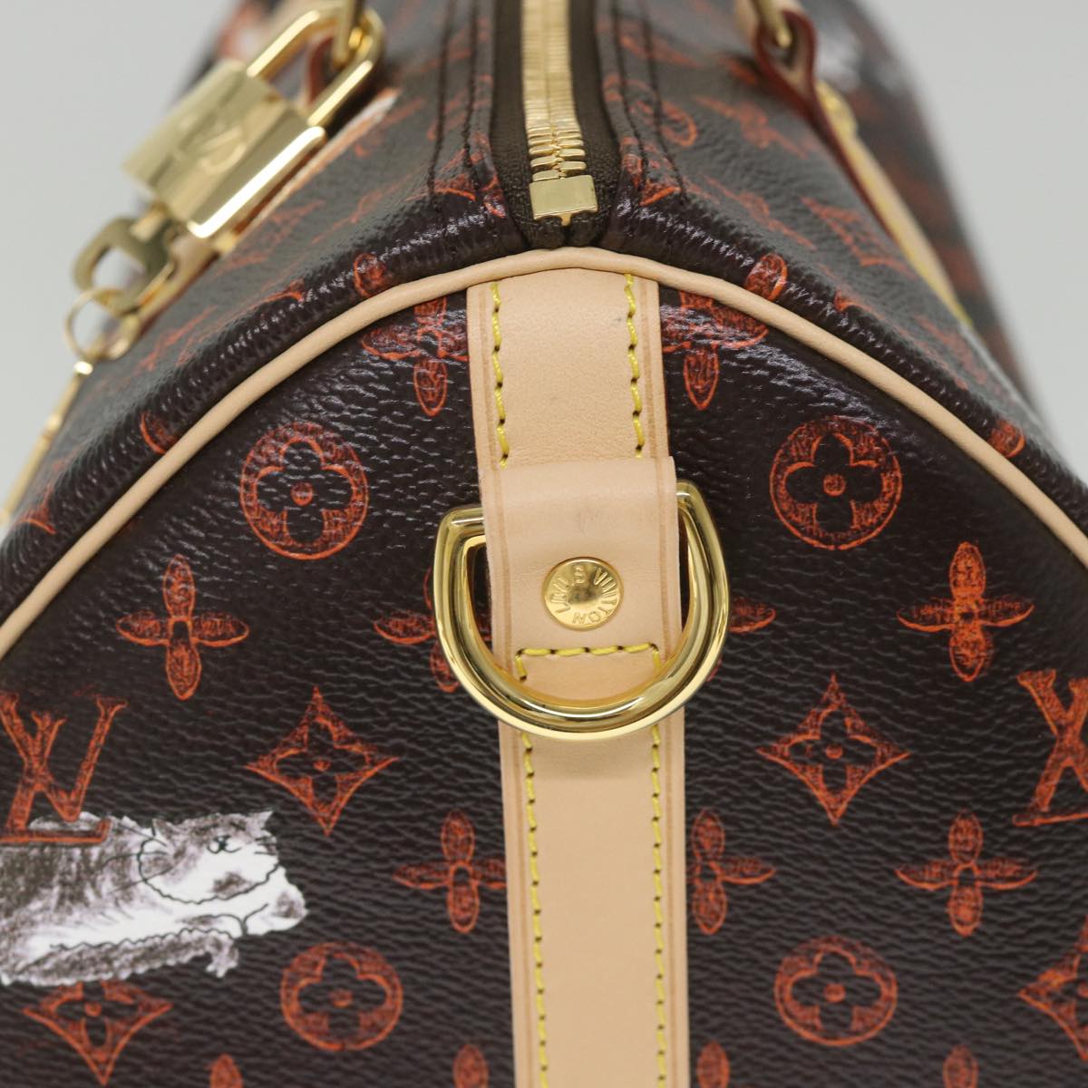 LOUIS VUITTON Catgram Speedy Bandouliere 30 Hand Bag Brown M44401 LV Auth 56154SM