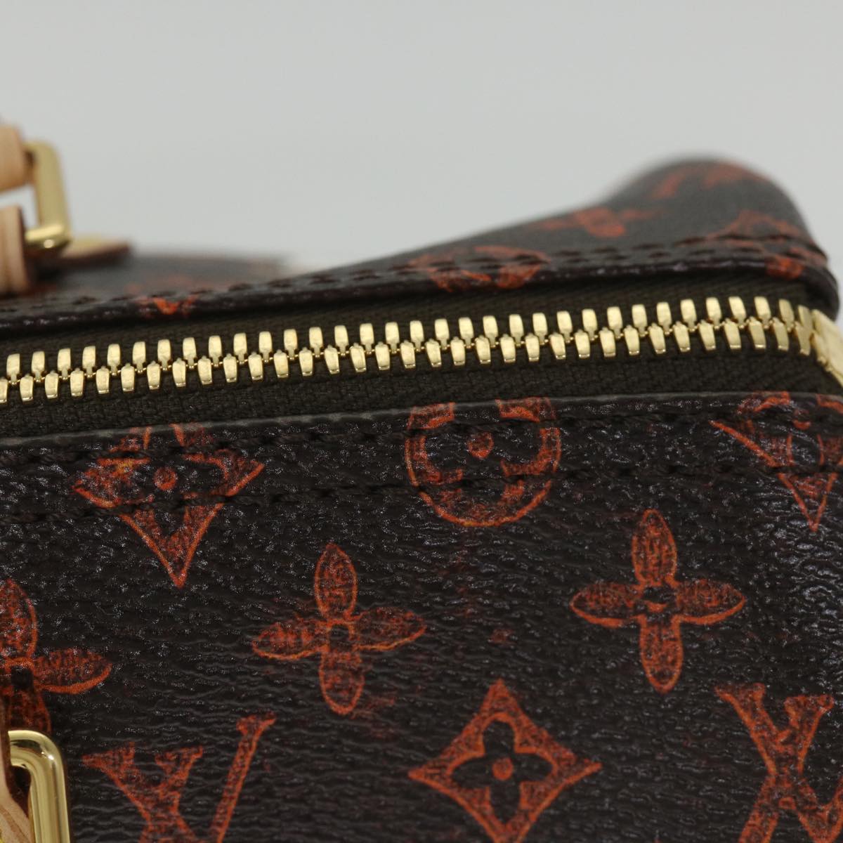 LOUIS VUITTON Catgram Speedy Bandouliere 30 Hand Bag Brown M44401 LV Auth 56154SM