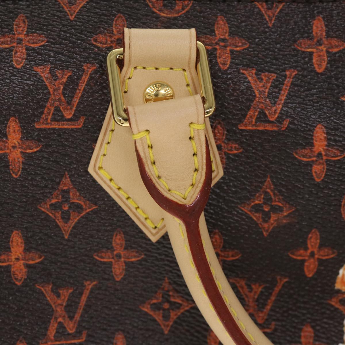LOUIS VUITTON Catgram Speedy Bandouliere 30 Hand Bag Brown M44401 LV Auth 56154SM