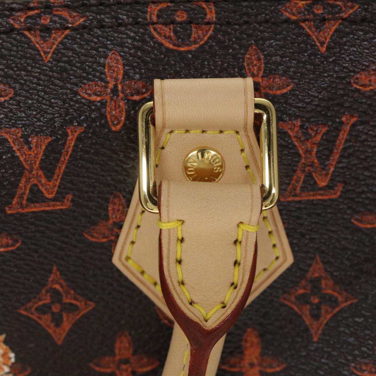 LOUIS VUITTON Catgram Speedy Bandouliere 30 Hand Bag Brown M44401 LV Auth 56154SM