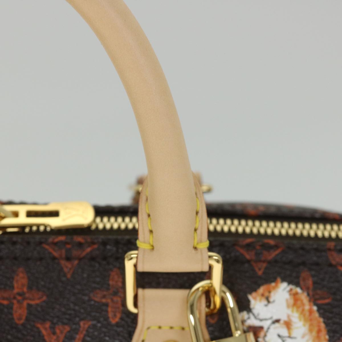 LOUIS VUITTON Catgram Speedy Bandouliere 30 Hand Bag Brown M44401 LV Auth 56154SM