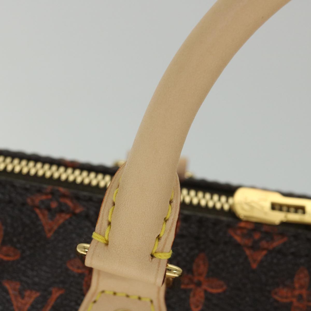 LOUIS VUITTON Catgram Speedy Bandouliere 30 Hand Bag Brown M44401 LV Auth 56154SM