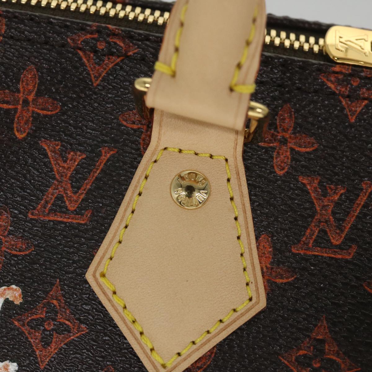 LOUIS VUITTON Catgram Speedy Bandouliere 30 Hand Bag Brown M44401 LV Auth 56154SM
