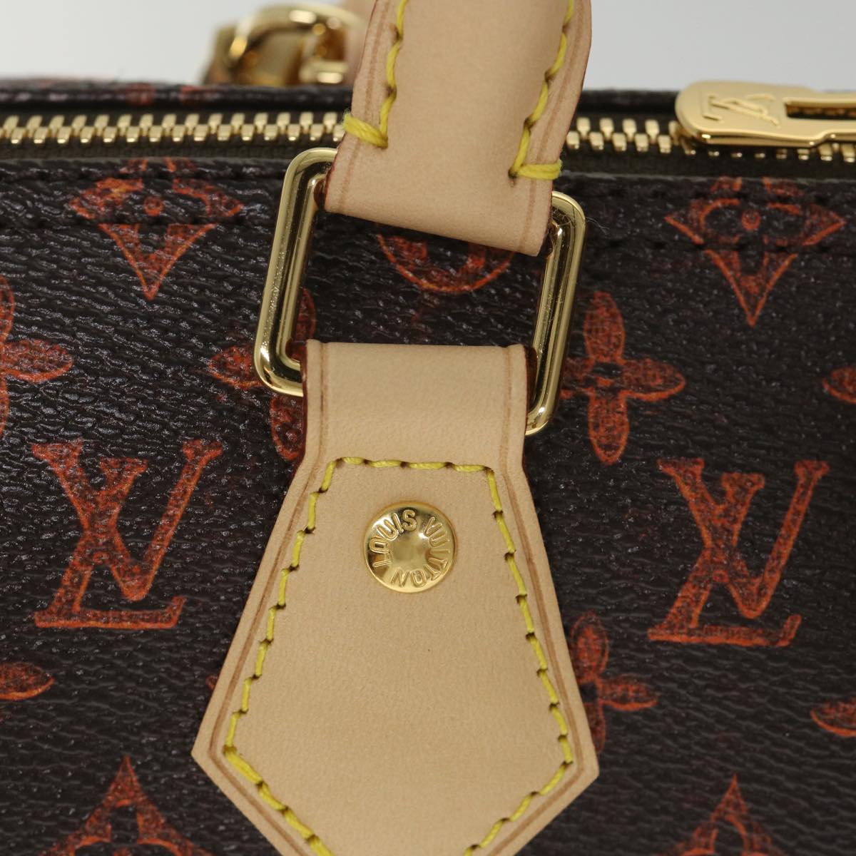 LOUIS VUITTON Catgram Speedy Bandouliere 30 Hand Bag Brown M44401 LV Auth 56154SM
