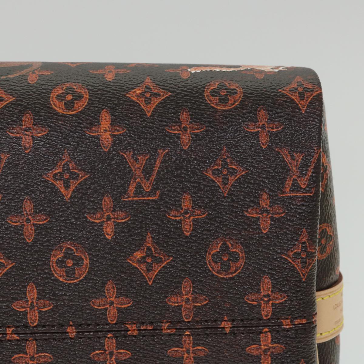 LOUIS VUITTON Catgram Speedy Bandouliere 30 Hand Bag Brown M44401 LV Auth 56154SM