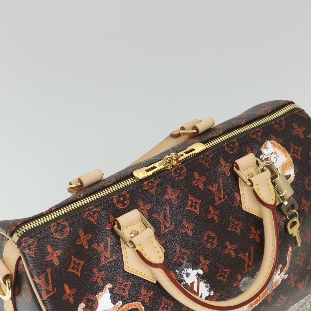 LOUIS VUITTON Catgram Speedy Bandouliere 30 Hand Bag Brown M44401 LV Auth 56154SM
