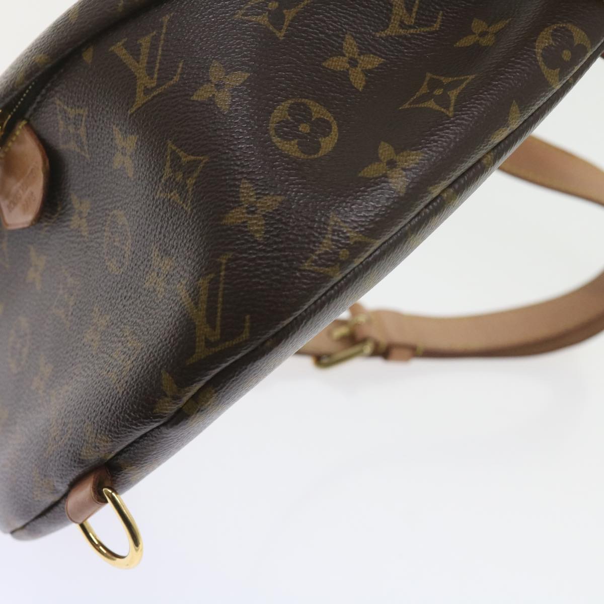 LOUIS VUITTON Monogram Bum Bag Shoulder Bag M43644 LV Auth 59363SAM