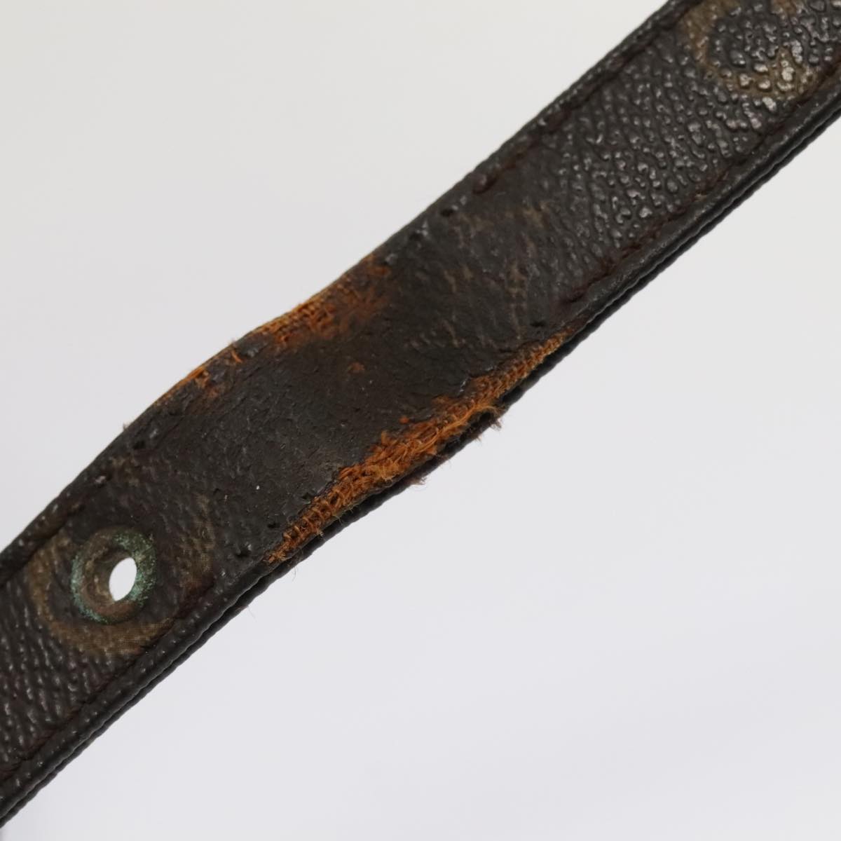 LOUIS VUITTON Monogram Danube GM Shoulder Bag M45262 LV Auth 88515