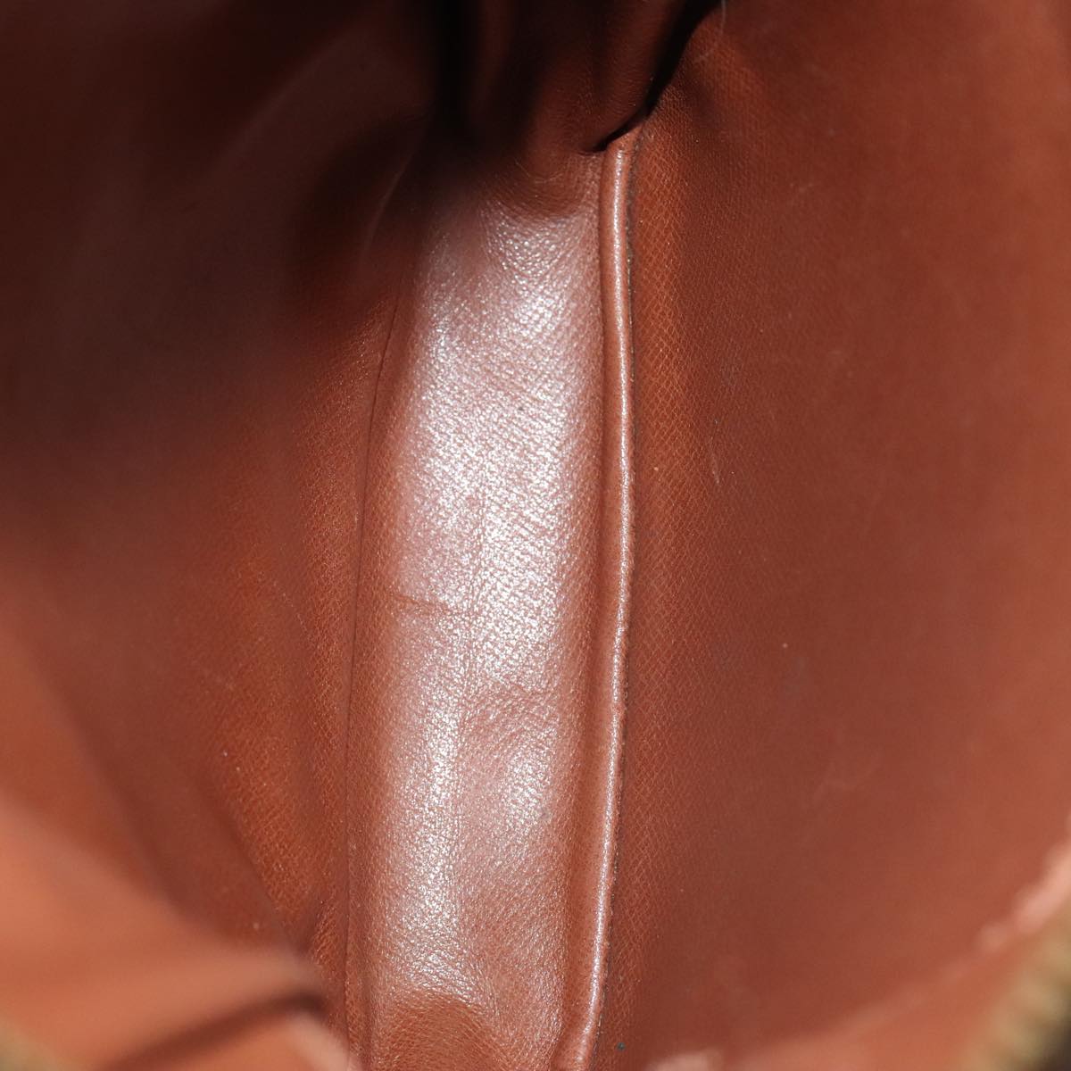 LOUIS VUITTON Monogram Danube Shoulder Bag M45266 LV Auth 91368