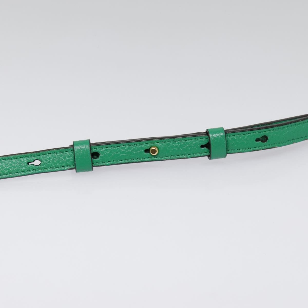 Salvatore Ferragamo Hand Bag Leather 2way Green Gold Auth 91385V