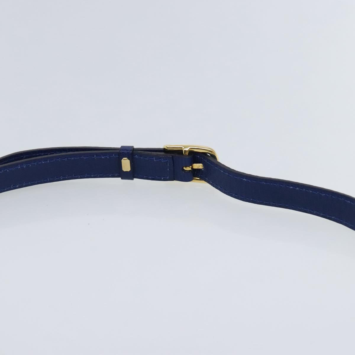 CELINE Shoulder Bag Leather Blue Gold Auth 94799V