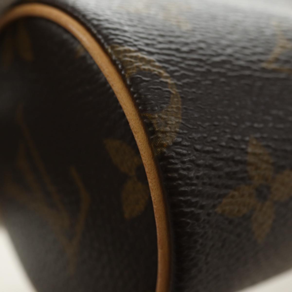 LOUIS VUITTON Monogram Papillon Pouch Pouch LV Auth TR15