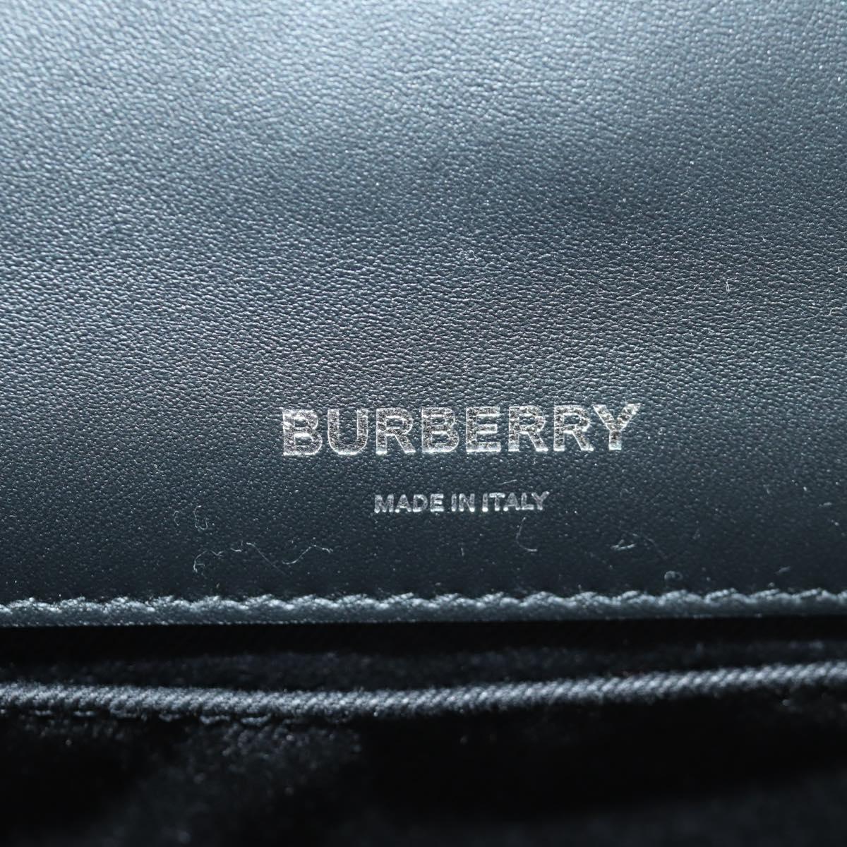 BURBERRY Roller Chain Shoulder Bag Leather Black Silver Auth am11155V