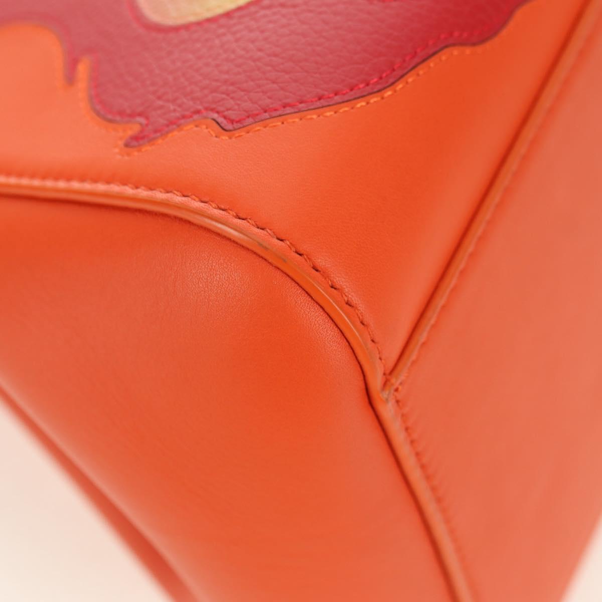 LOEWE × Studio Ghibli Calcifer Nugget Hammock Bag Leather Orange Auth am11499SM