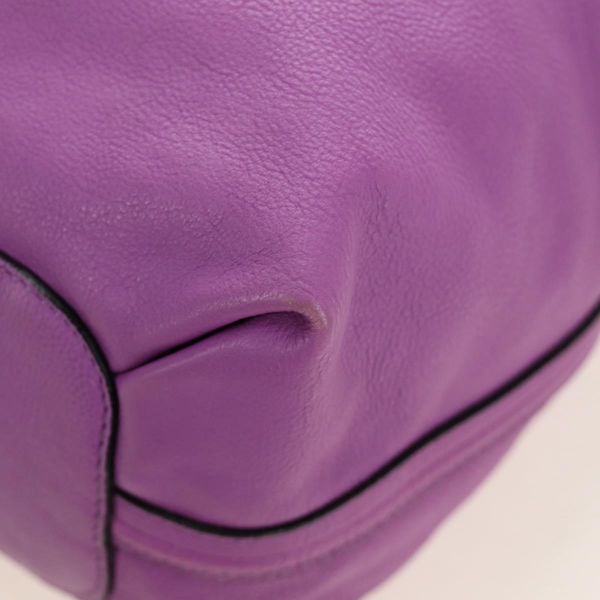 Chloe Elsie Hand Bag Leather 2way Purple Gold Auth am12030V
