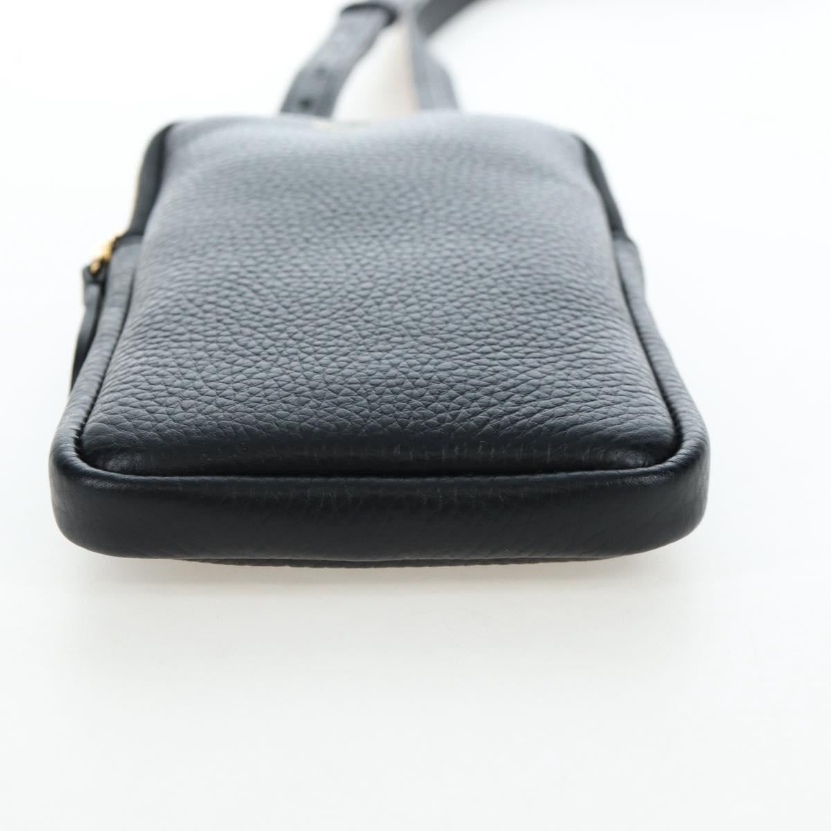 BURBERRY Shoulder Pouch Leather Black Gold Auth am12646V