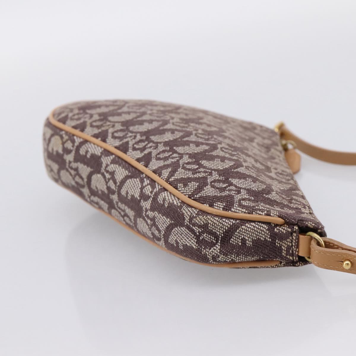 Christian Dior Trotter Canvas Saddle Pouch Brown Gold Auth am12668V