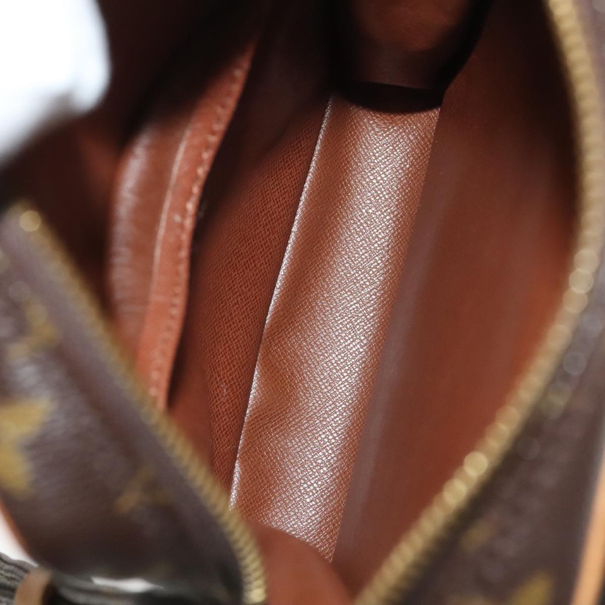 LOUIS VUITTON Monogram Amazon Shoulder Bag M45236 LV Auth am7362