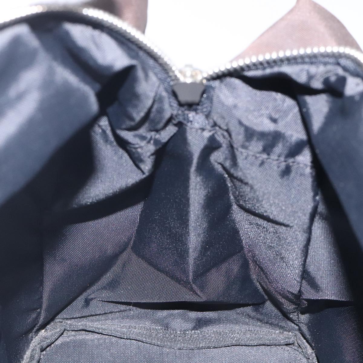 Burberrys Blue Label Hand Bag Nylon Brown Silver Auth am8193