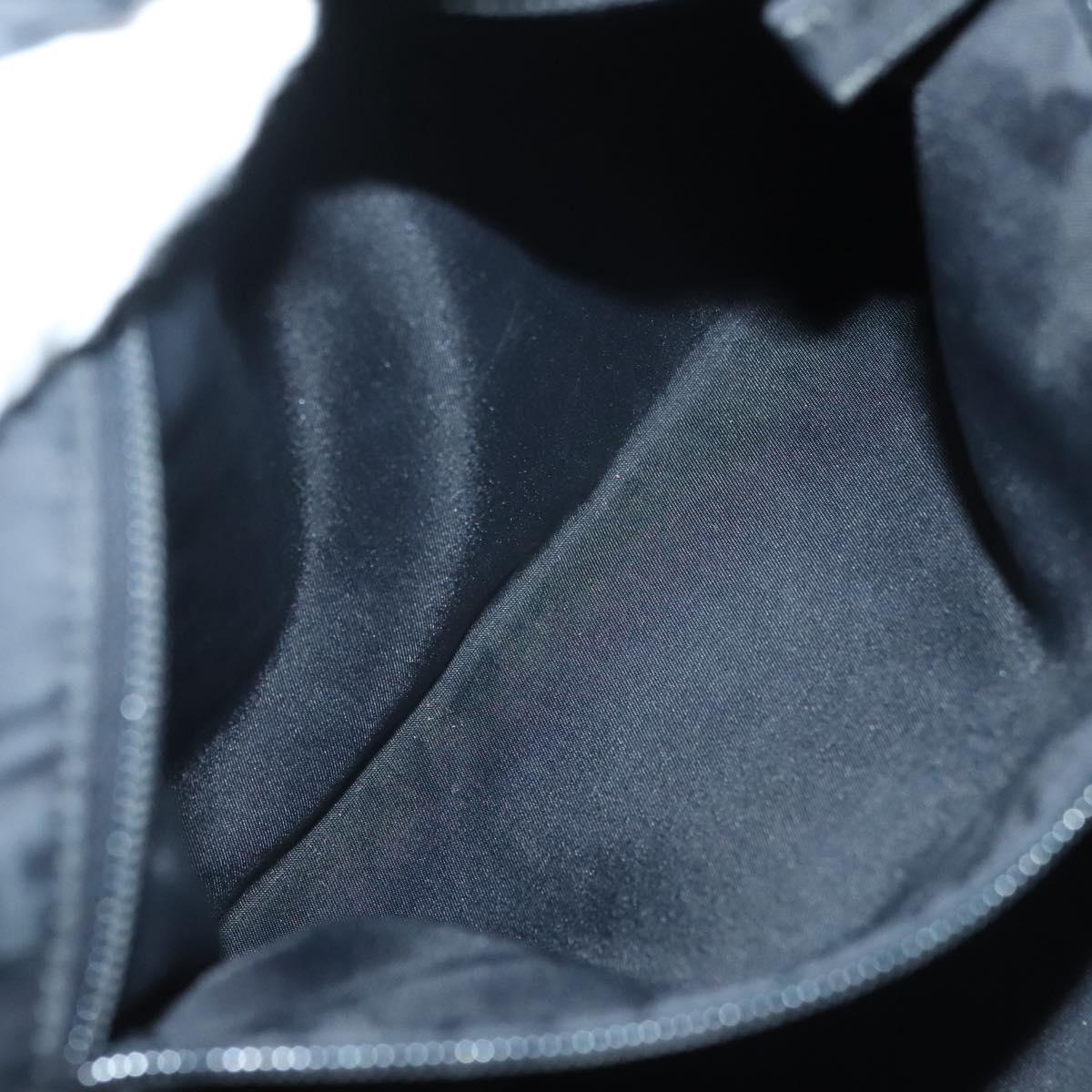 PRADA Hand Bag Nylon Black Clear Auth am8816