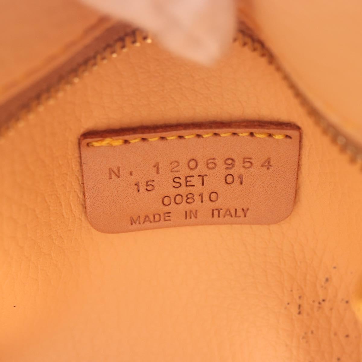 ETRO Paisley Hand Bag PVC Leather Brown Gold Auth am9050