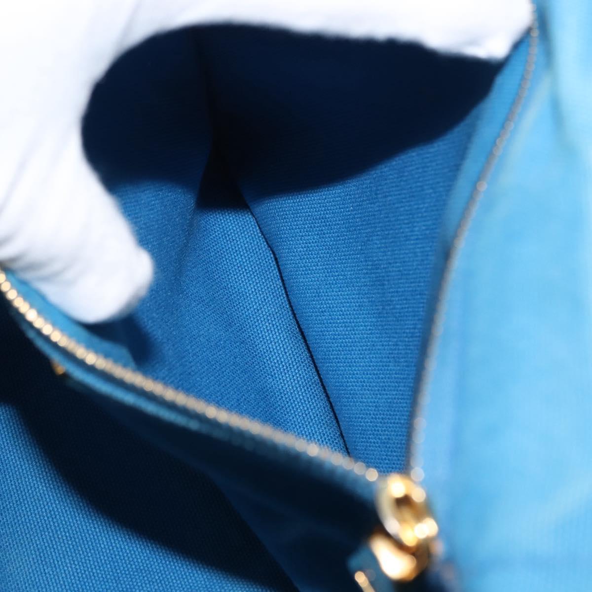 PRADA Canapa GM Hand Bag Canvas Blue Gold Auth am9265