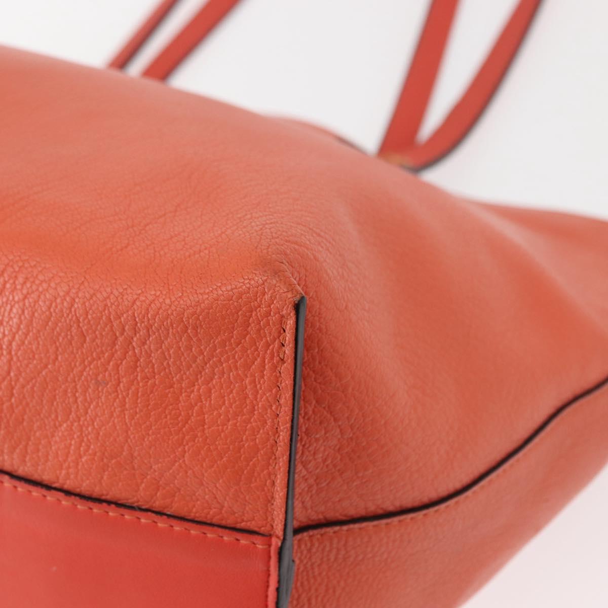 Chloe Dylan Tote Bag Leather Gold salmon pink Auth am9397