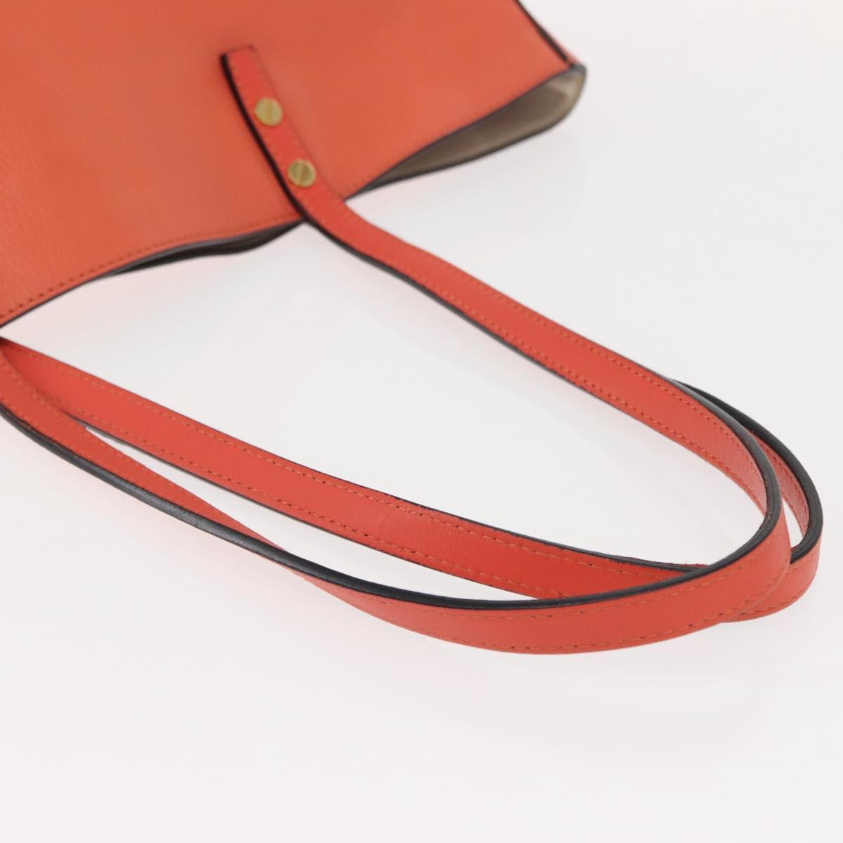 Chloe Dylan Tote Bag Leather Gold salmon pink Auth am9397