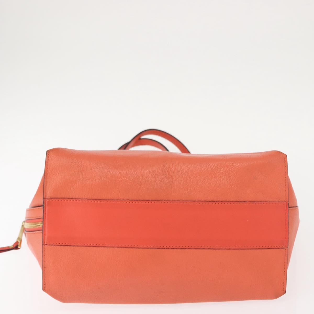 Chloe Dylan Tote Bag Leather Gold salmon pink Auth am9397