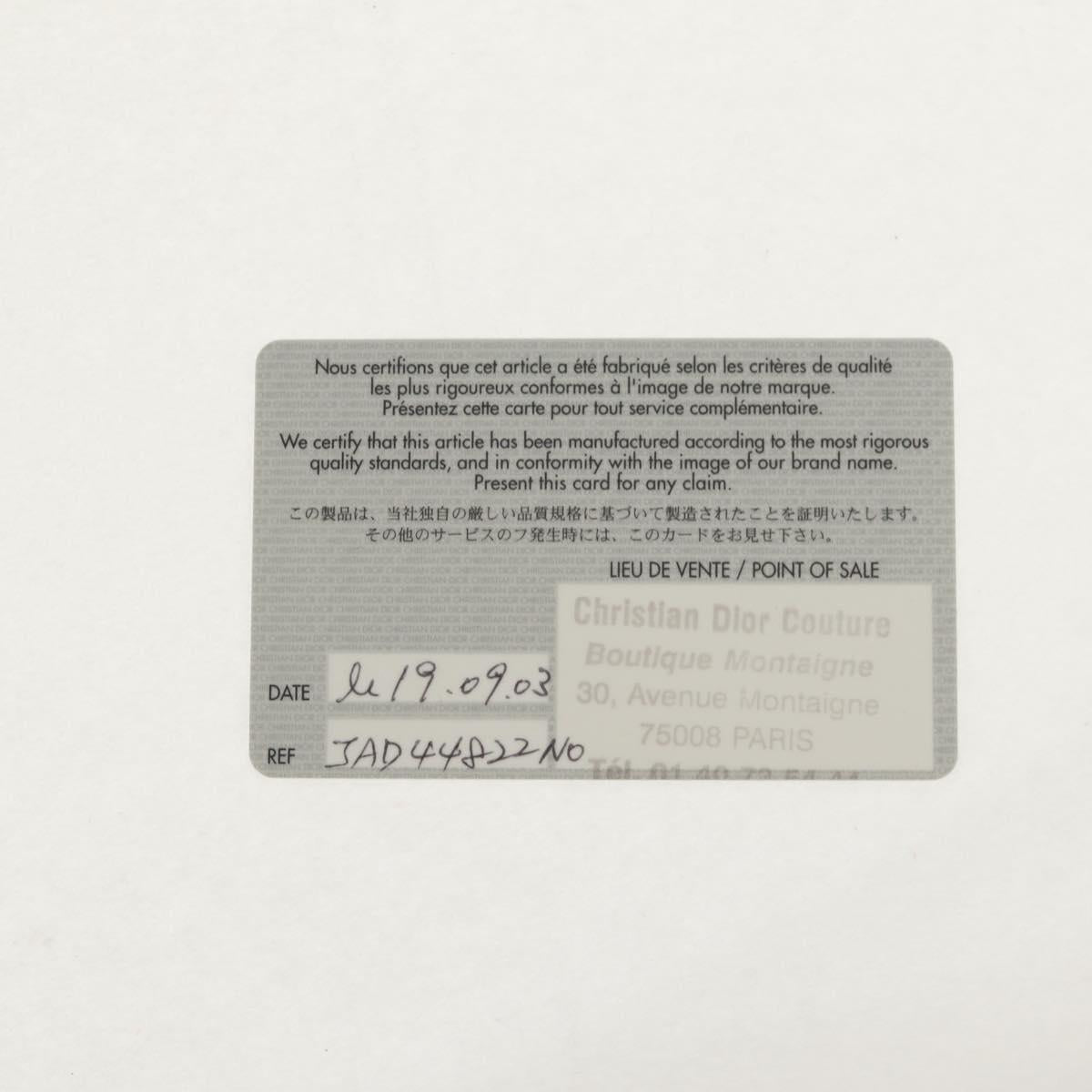 Christian Dior Trotter Canvas Street Chic Shoulder Bag Black Silver Auth am9801V