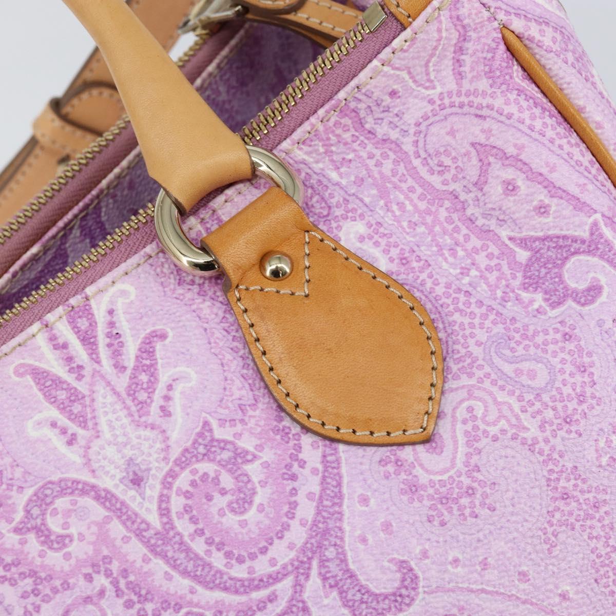 ETRO Paisley Hand Bag PVC Leather 2way Pink Gold Auth am9887