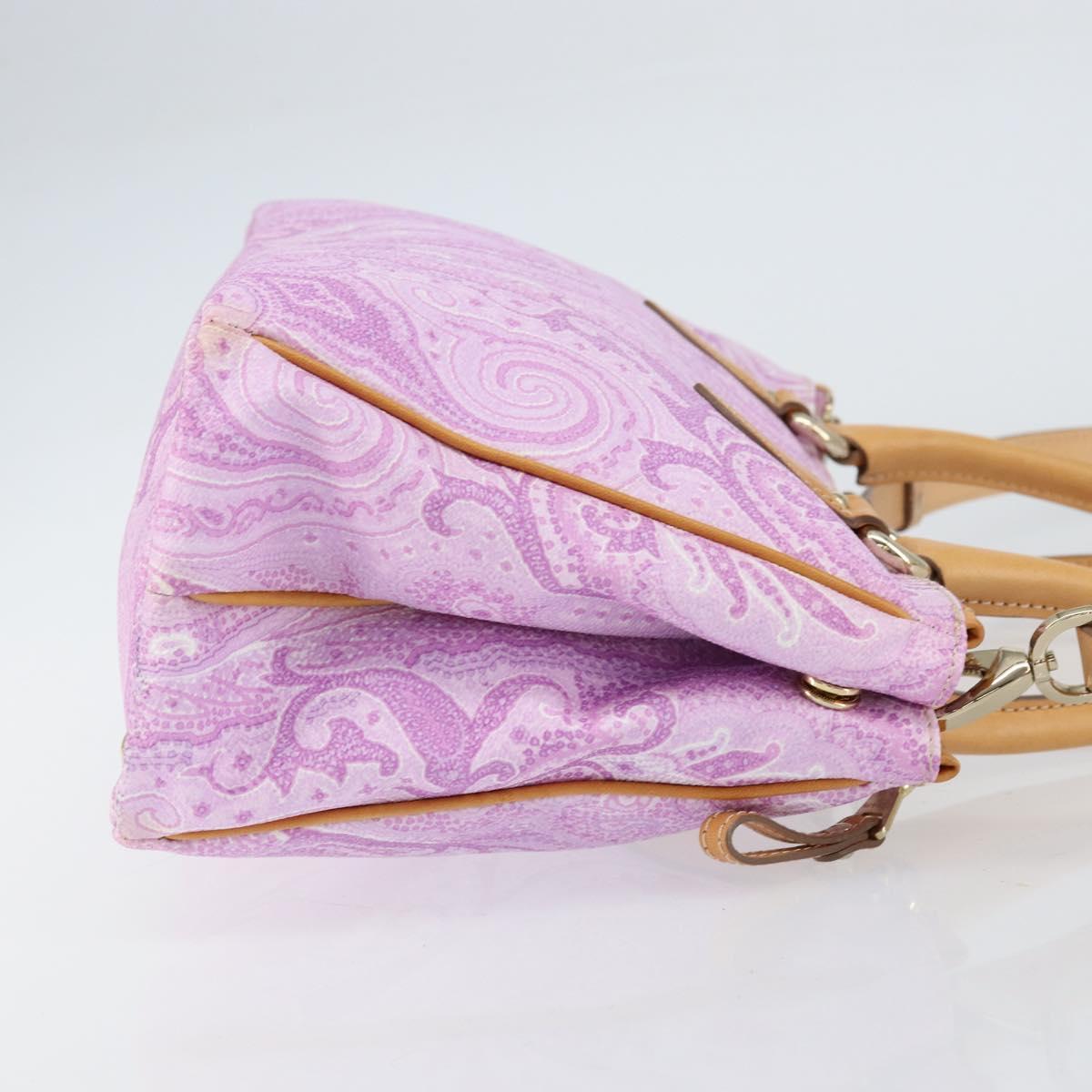 ETRO Paisley Hand Bag PVC Leather 2way Pink Gold Auth am9887