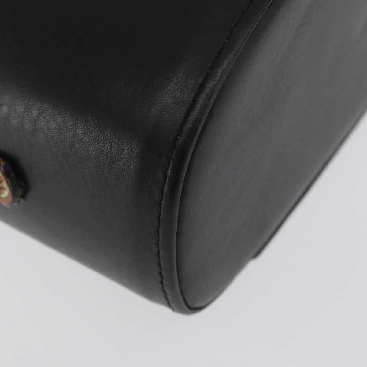 LOEWE Vanity Hand Bag Leather Black Gold Auth AMZ508