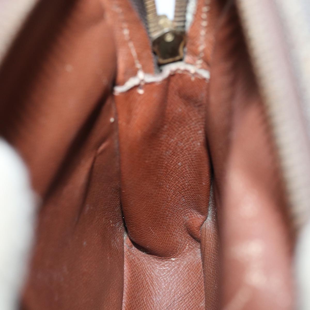 LOUIS VUITTON Monogram Mini Amazon Shoulder Bag M45238 LV Auth ar12500