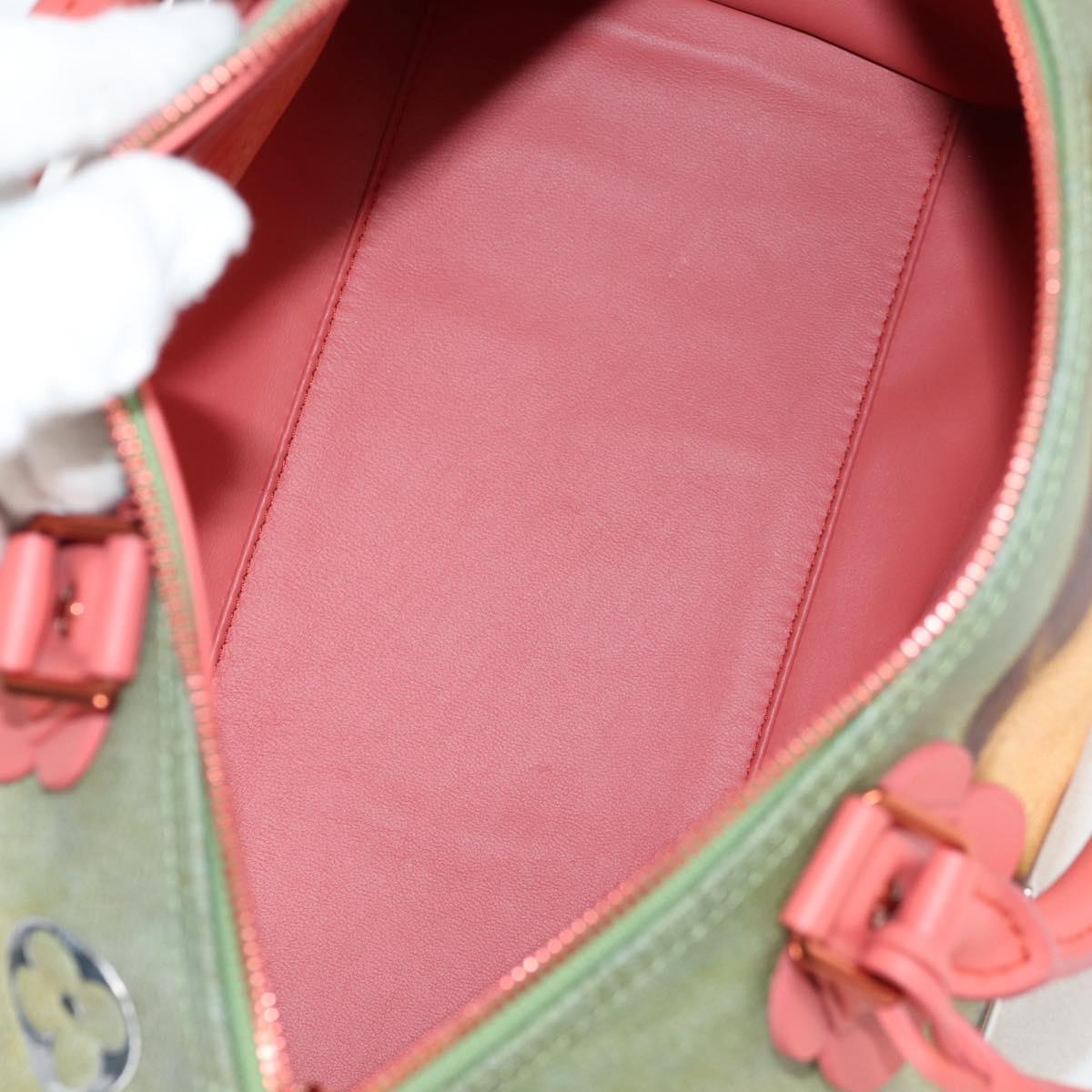 LOUIS VUITTON Masters Collection DA VINCI Speedy 30 Bag M43372 Auth ar13671SM