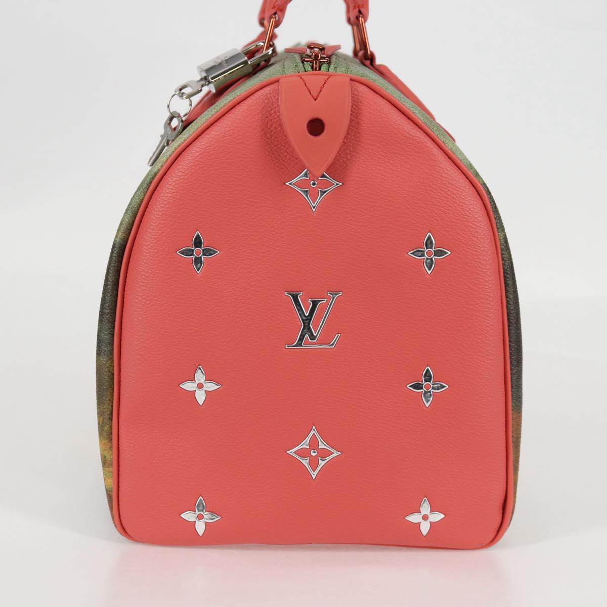 LOUIS VUITTON Masters Collection DA VINCI Speedy 30 Bag M43372 Auth ar13671SM