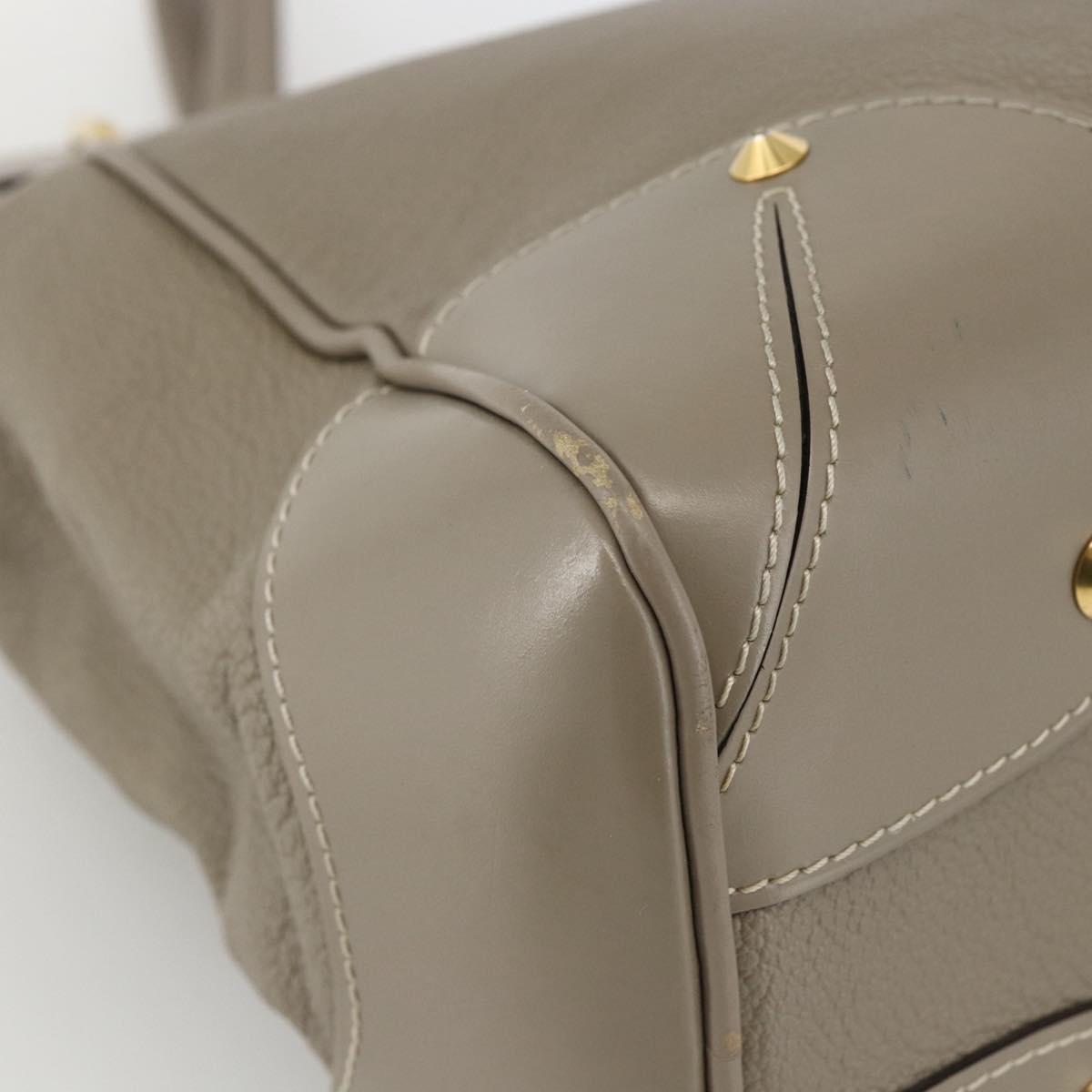 LOUIS VUITTON Suhari Majestu Hand Bag Gray M95652 LV Auth ARZ381