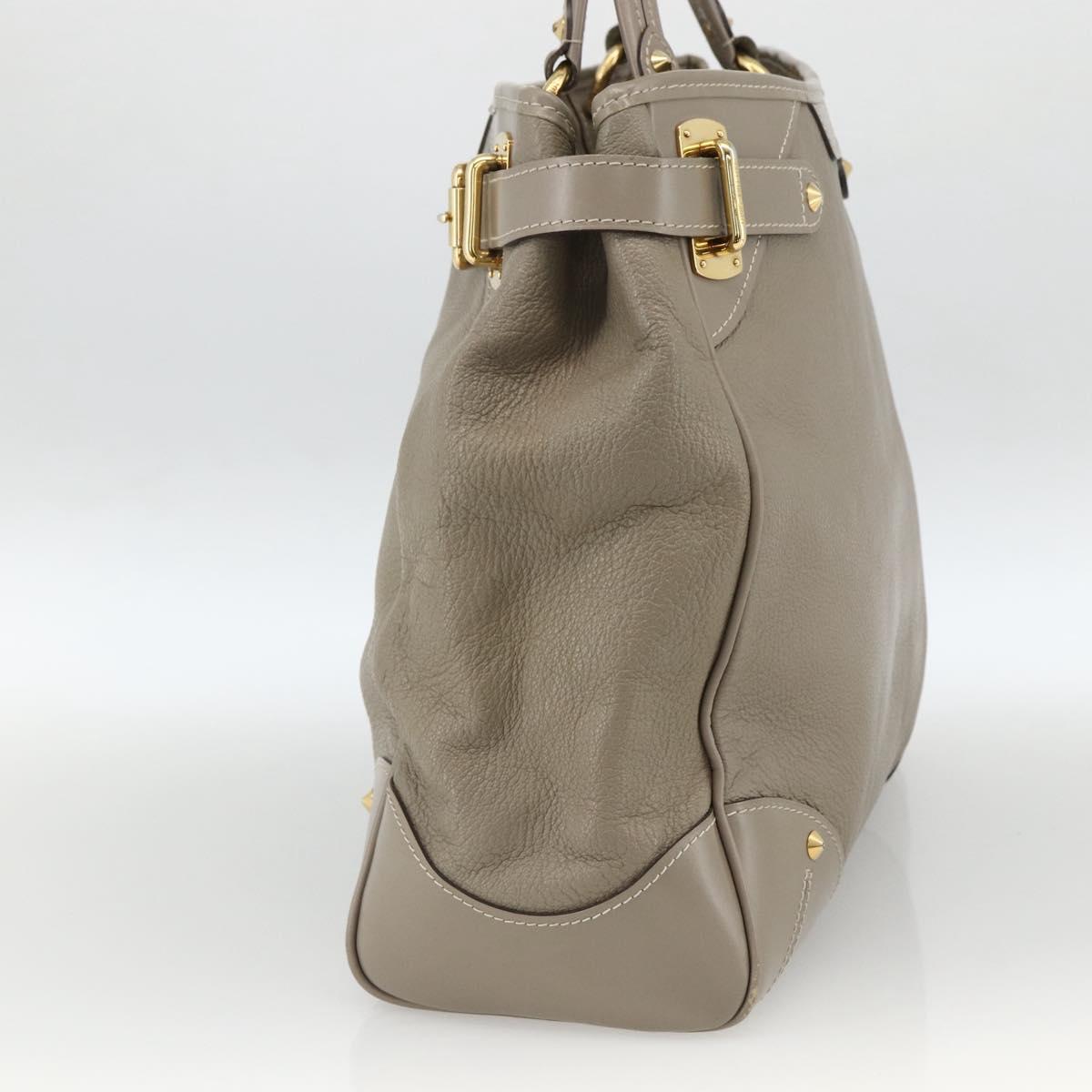 LOUIS VUITTON Suhari Majestu Hand Bag Gray M95652 LV Auth ARZ381