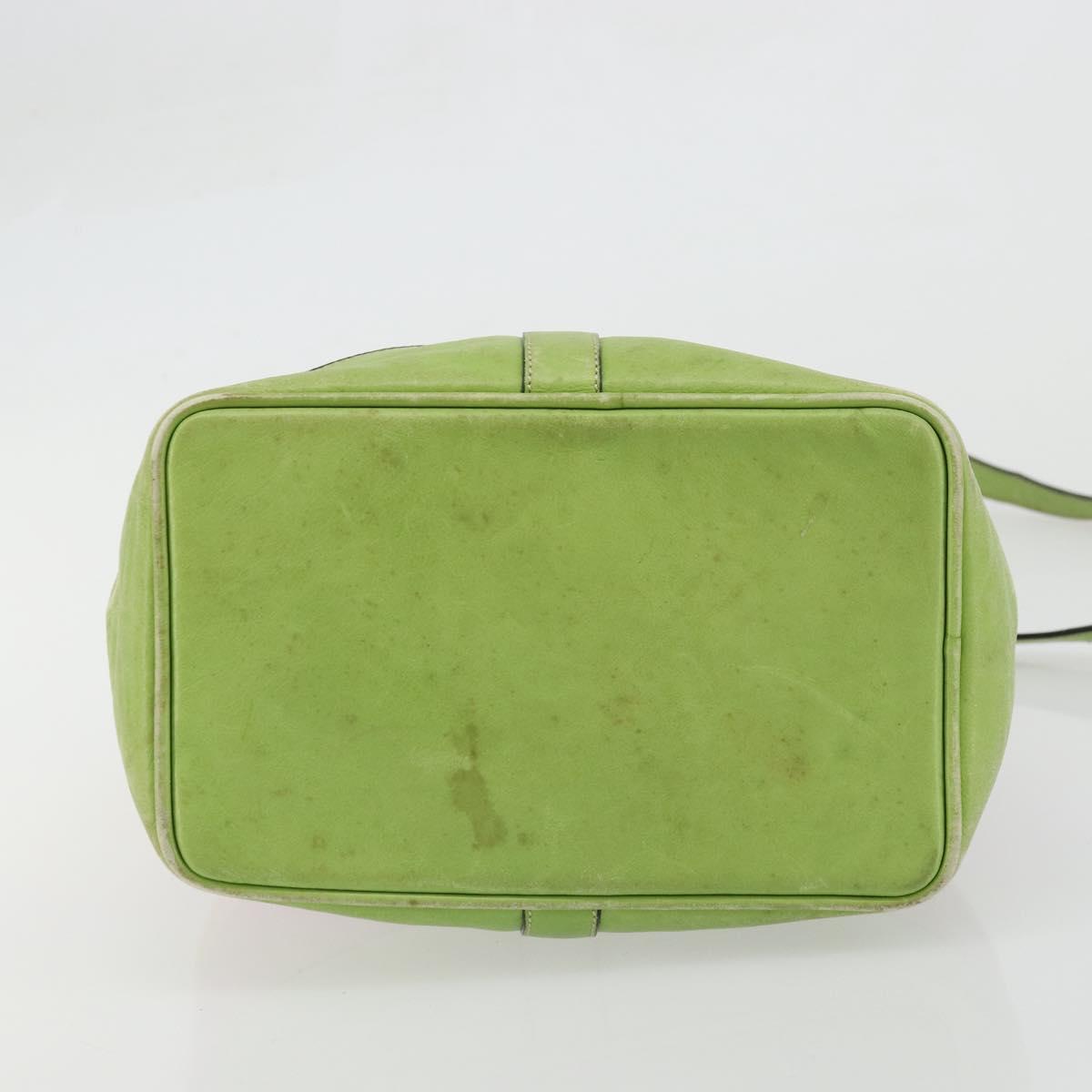 CELINE Shoulder Bag Leather Multicolor Silver Auth ARZ906