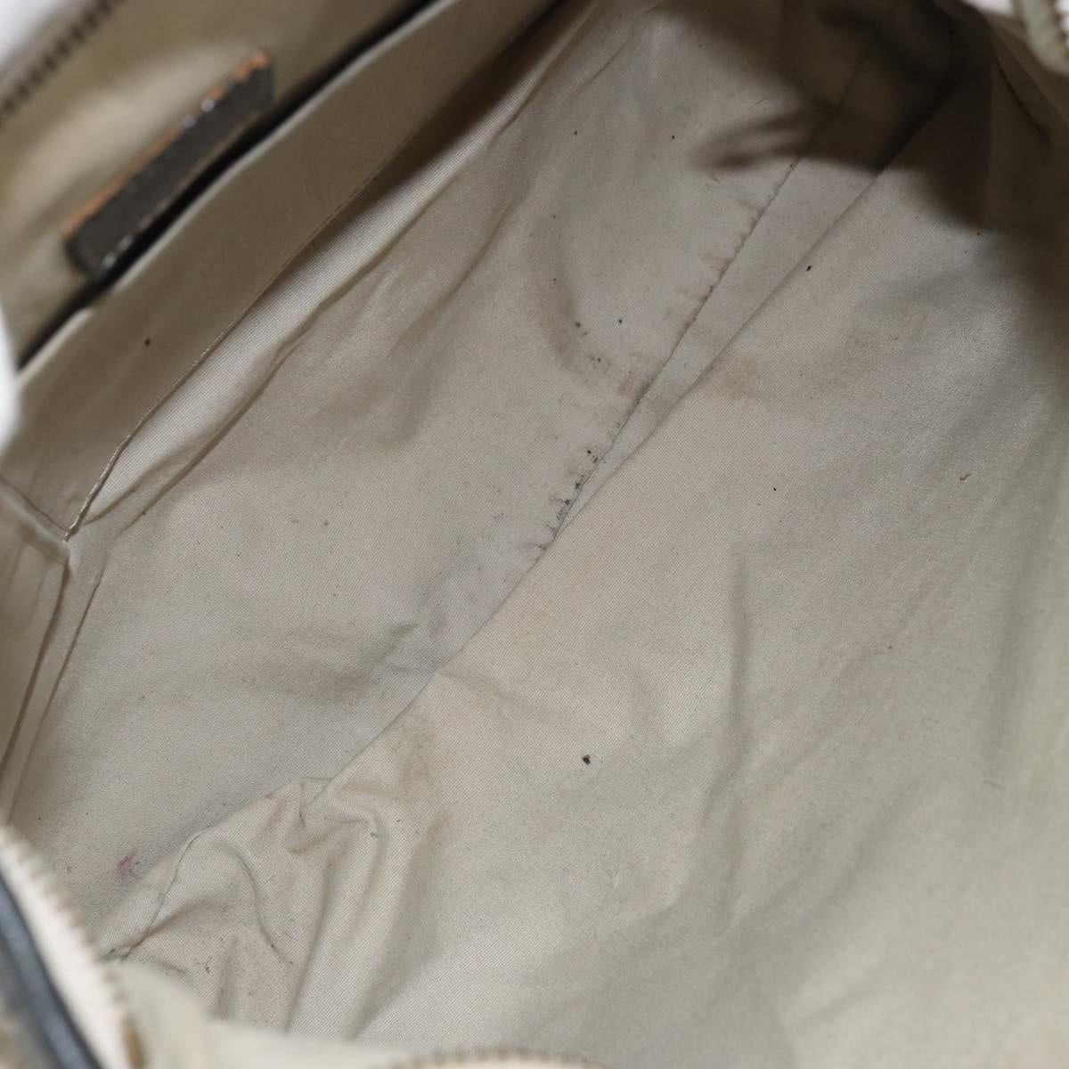 LOUIS VUITTON Monogram Idylle Buzasu Anjoul Hand Bag Platine M95622 Auth BA10412