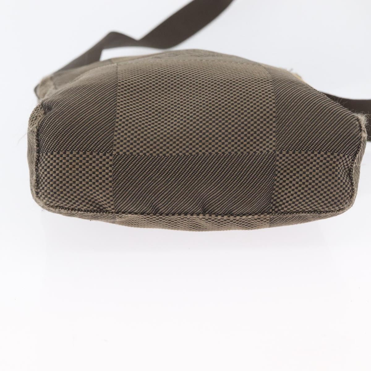 LOUIS VUITTON Damier Geant Sitadan PM Shoulder Bag Tail M93043 LV Auth BA10991
