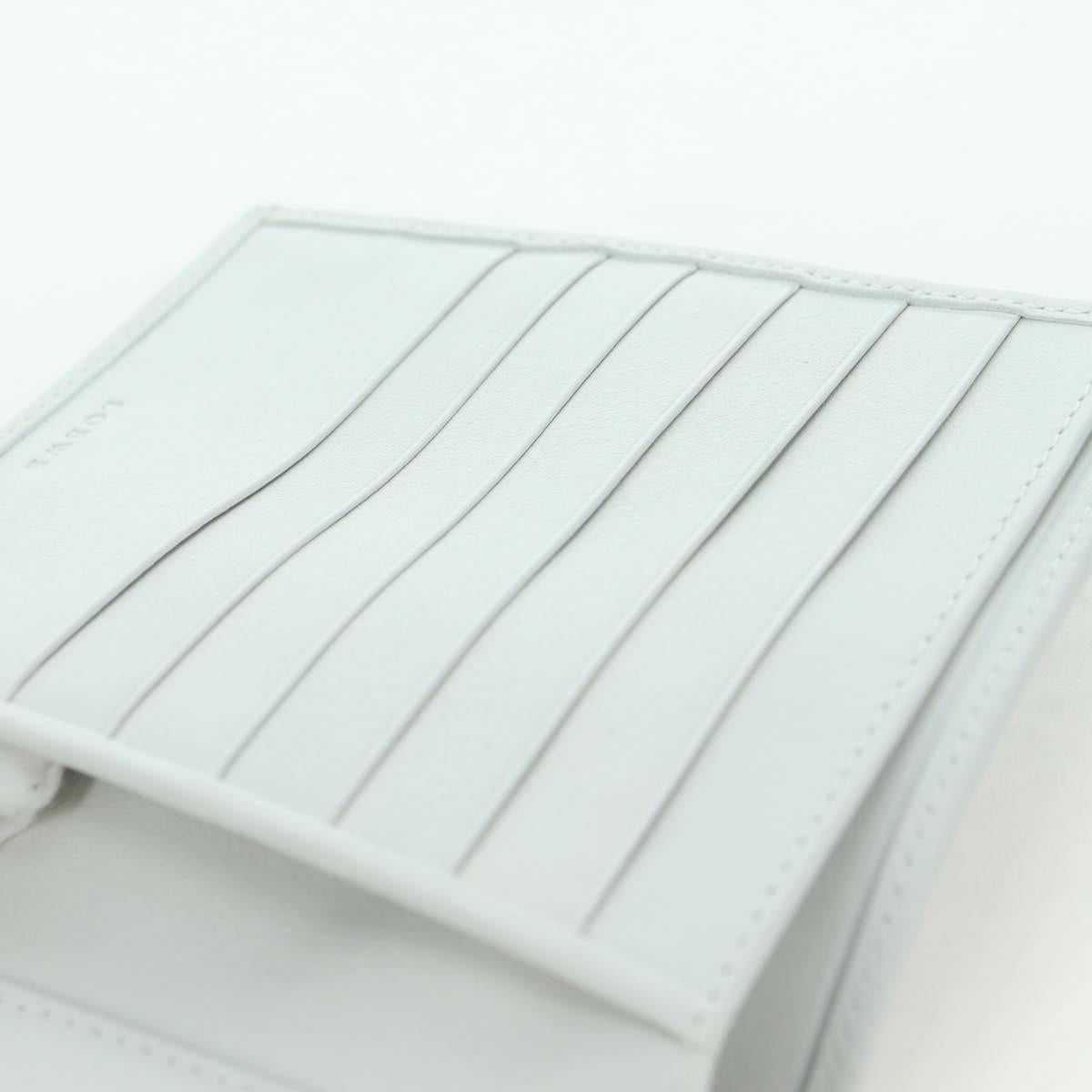 LOEWE Wallet Suede Light Blue Silver Auth BA12283V