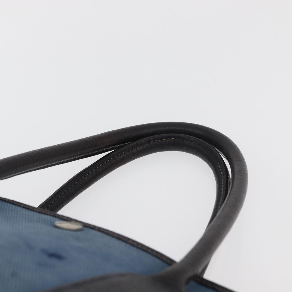 HERMES Garden Party PM Hand Bag Canvas Blue Silver Auth BA12580