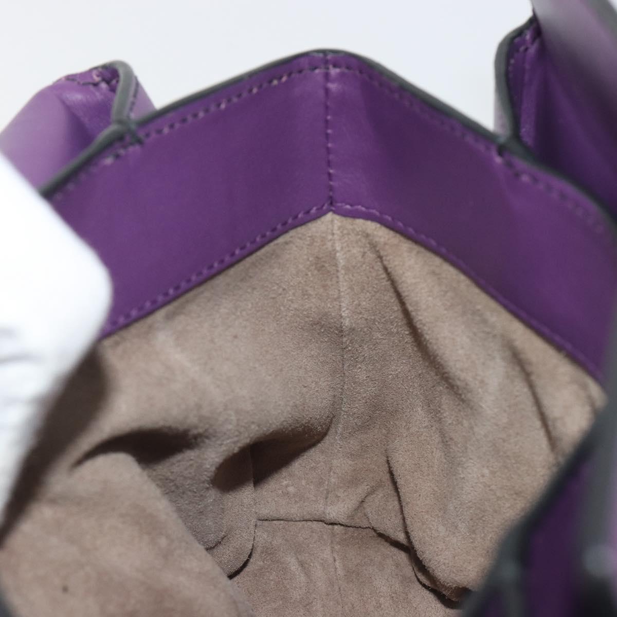 BOTTEGA VENETA INTRECCIATO Hand Bag Leather 2way Purple Gold Tone Auth BA14797V