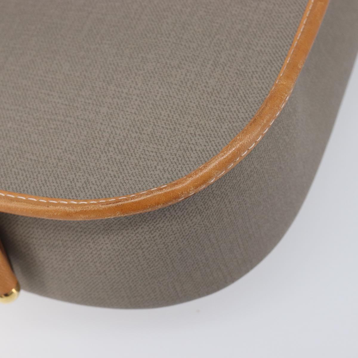 Christian Dior Shoulder Bag PVC Canvas Gray Gold Auth BA15092